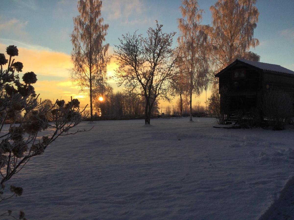 Mysigt Boende I Raettvik Med Utsikt Oever Siljan Eksteriør bilde
