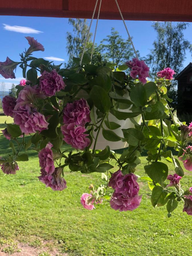 Mysigt Boende I Raettvik Med Utsikt Oever Siljan Eksteriør bilde